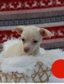 JOYCE - voller Erwartung auf Neues in 51491