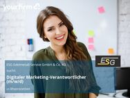 Digitaler Marketing-Verantwortlicher (m/w/d) - Rheinstetten