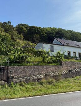 Großzügiges Hanggrundstück mit Altbestand und herrlichem Elbe Blick - Meißen Zentrum
