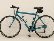 GIANT-Trekkingbike zu verkaufen - Stuttgart