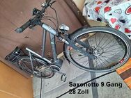 Saxonette und Crosswave 2 E-Bike - Volketswil