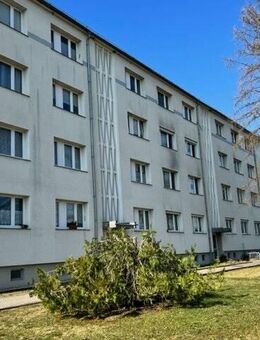 Anleger oder Eigennutzer, 2- Raum-Eigentumswohnung, tolle Lage - Weißenfels