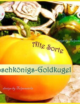 ♥ Bio Tomate Froschkönigs Goldkugel, Samen alte Sorte,Samenfest,Garten,Tulpenstolz,Gemüse,orange große - Hamburg