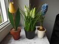 Holz Tulpe gelb + 2 x Kunstblumen Traubenhyazinthe weiß + blau Frühlingsblumen Deko Frühlingsdeko zus. 5,- in 24944