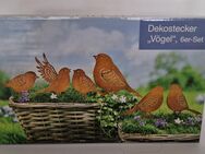 Dekostecker Vögel, 6er-Set Neu von Weltbild - Mülheim (Ruhr)