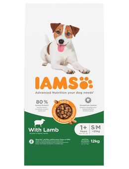 IAMS Advanced Nutrition Adult Small & Medium Dog mit Lamm - Sparpaket: 2 x 12 kg