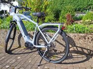 Maxtron MTS-20X Herren Trekking SUV E-Bike Neu - Seelbach (Baden-Württemberg)