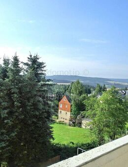 TOP sanierte helle und gemütliche 2-3-Zimmer-Wohnungen Elterlein Balkon/EBK/Bad Fenster/Kamin - Elterlein