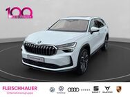 Skoda Kodiaq, 2.0 TDI Selection EU6e, Jahr 2024 - Euskirchen