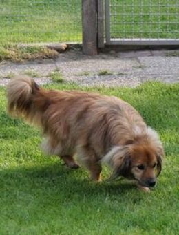 ROBY - liebevolle Fürsorge erfahren - Overath