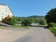 2,1 Hektar in Ortsrandlage von Rielasingen, Gehöft zu verkaufen.Landkreis Konstanz / Bodenseeregion - Rielasingen-Worblingen