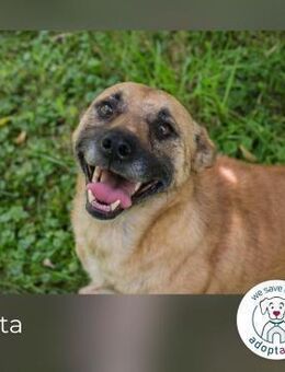 Greta: Liebenswerter Schatz - Kirchzell