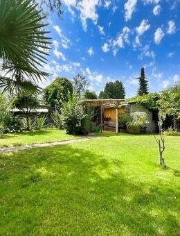 Garten sucht eine neue Familie zum Bespaßen Grundsaniertes Haus mit wenig Renovierungsbedarf - Raunheim