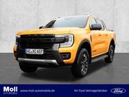 Ford Ranger, Wildtrak Doka 205PS Auto Techno 71 31, Jahr 2023 - Aachen