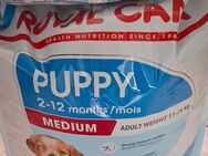 Welpenfutter Royal Canin Puppy 16kg - Nersingen