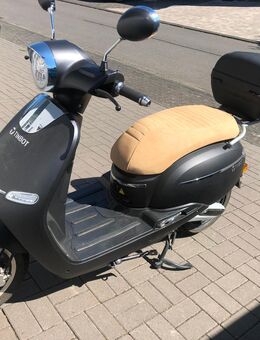 E-Roller Tinbot F10 mit Case - wenig gefahren, top in Schuss! - Birken-Honigsessen