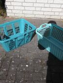 2 Kunststoff Wäschekörbe stabil groß grün zus. 4,- in 24944