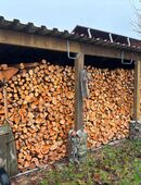 Feuerholz, 20 - 30cm, trocken, ein Jahr gelagert in 02999