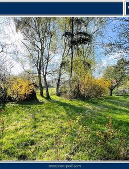 VON POLL - BAD HOMBURG: Wohnen auf einer Ebene, großzügiger Bungalow in malerischer Feldrandlage! - Bad Homburg (Höhe)