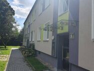 Gemütliche DG-Wohnung - komplett renoviert inkl. Bodenbelag und Tageslichtbadezimmer! - Essen