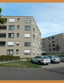 Wunderschöne betreute 3-Zimmer-Seniorenwohnung, im St. Gallus-Park frei ab 1. Dezember 2025 - Zell (Harmersbach)