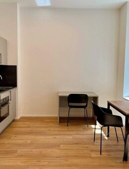 Loftige, möblierte 1-Zimmer-Wohnung mit großer Terrasse zum Erstbezug! - Nürnberg