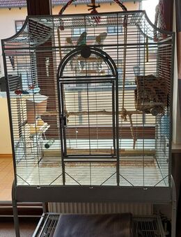 5 Wellensittiche mit Käfig zu verkaufen - Fürth