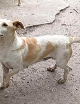 Dora ist ein Sonnenschein - Olsberg