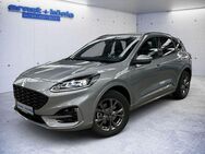 Ford Kuga ST-LINE X 2.5Duratec PHEV *ACC*TWA*AHK*LED* - Freiburg (Breisgau)