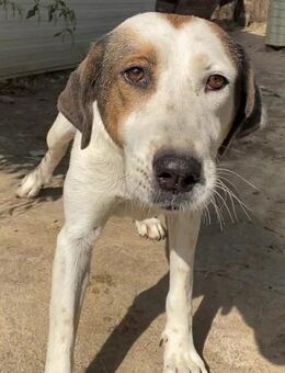 Wo wartet das Glück auf ALASKA? - Sehnde