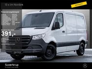 Mercedes Sprinter, 315 Kasten Kompakt MB, Jahr 2022 - Mölln (Schleswig-Holstein)