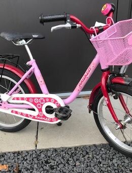 Kinderfahrrad 16 Zoll ab 4 Jahre - Allersberg