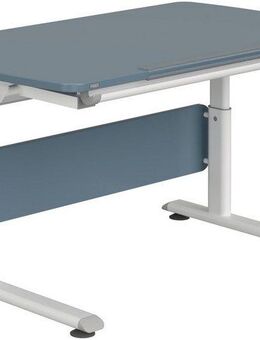 PAIDI Kinderschreibtisch DIEGO CURVED, Schülerschreibtisch, mitwachsend, ergonomisch, stufenlos höhenverstellbar, Tischplatte neigbar