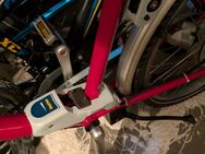 E Bike - Bonn