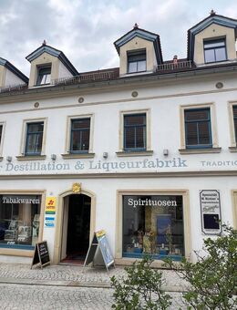 Leben & Wohlfühlen: Charmante 3 Zimmer Wohnung mit Terrasse im Denkmal - Radeberg