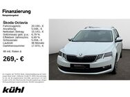 Skoda Octavia, 2.0 TSI Combi Soleil, Jahr 2019 - Hildesheim