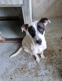 Sonnenschein Valerie - Eichenzell