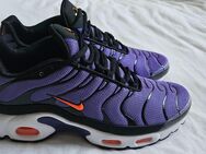 Nike Air Max Plus OG Violett (TN Haifischnikez) - Größe 43 - Verden (Aller) Zentrum