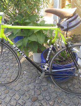 Marken - Rennrad ( RAZESA ) - Germering