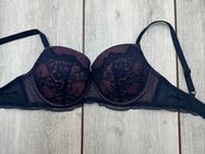 BH 75F von Hunkemöller dunkelblau- rosa - Kassel