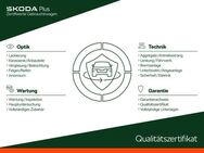 Skoda Kodiaq 2.0 TDI DSG Active 7-Sitzer NAVI - Düsseldorf