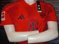 FC BAYERN MÜNCHEN Heim-Trikot 24/25 neu in 47798