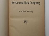 A. Ludwig: Die dramatische Dichtung (1923) - Münster