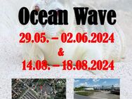 Kunsthandwerker- und Bauernmarkt Norddeich Ocean Wave Mai / Juni 2024 - Weener