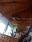 400qm Garten Steinhaus, Holzhaus ☎️+4915752798112 in 01159