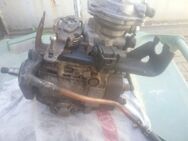 Vw Golf1 Gtd Golf2 Gtd 1,6L Td CY Motor Bosch Einspritzpumpe - Worms