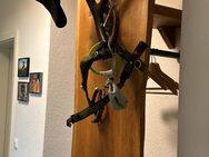 Echtholzgarderobe - Münster Zentrum