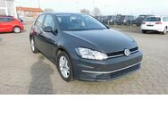 VW Golf, 1.6 VII Comfortline TDI 4Trg, Jahr 2019 - Vordorf