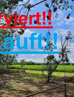 5.804 m² in Alleinlage mit Haus und Scheune! - Medow