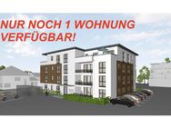 NEUBAU/ALDINGEN/PENTHOUSE - Aldingen